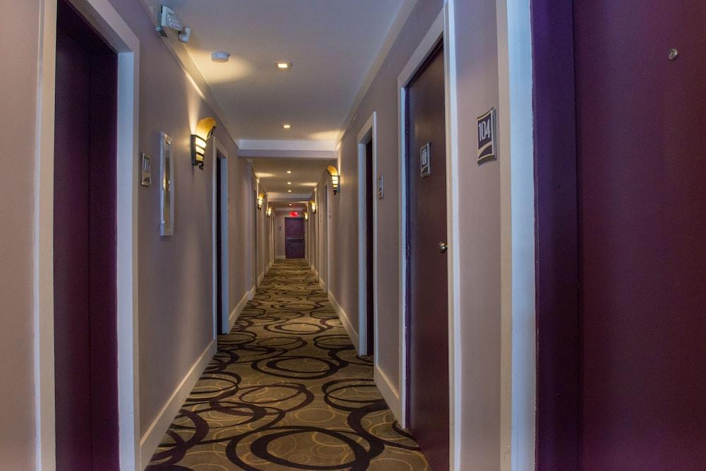 Hotel Shelley Miami Beach