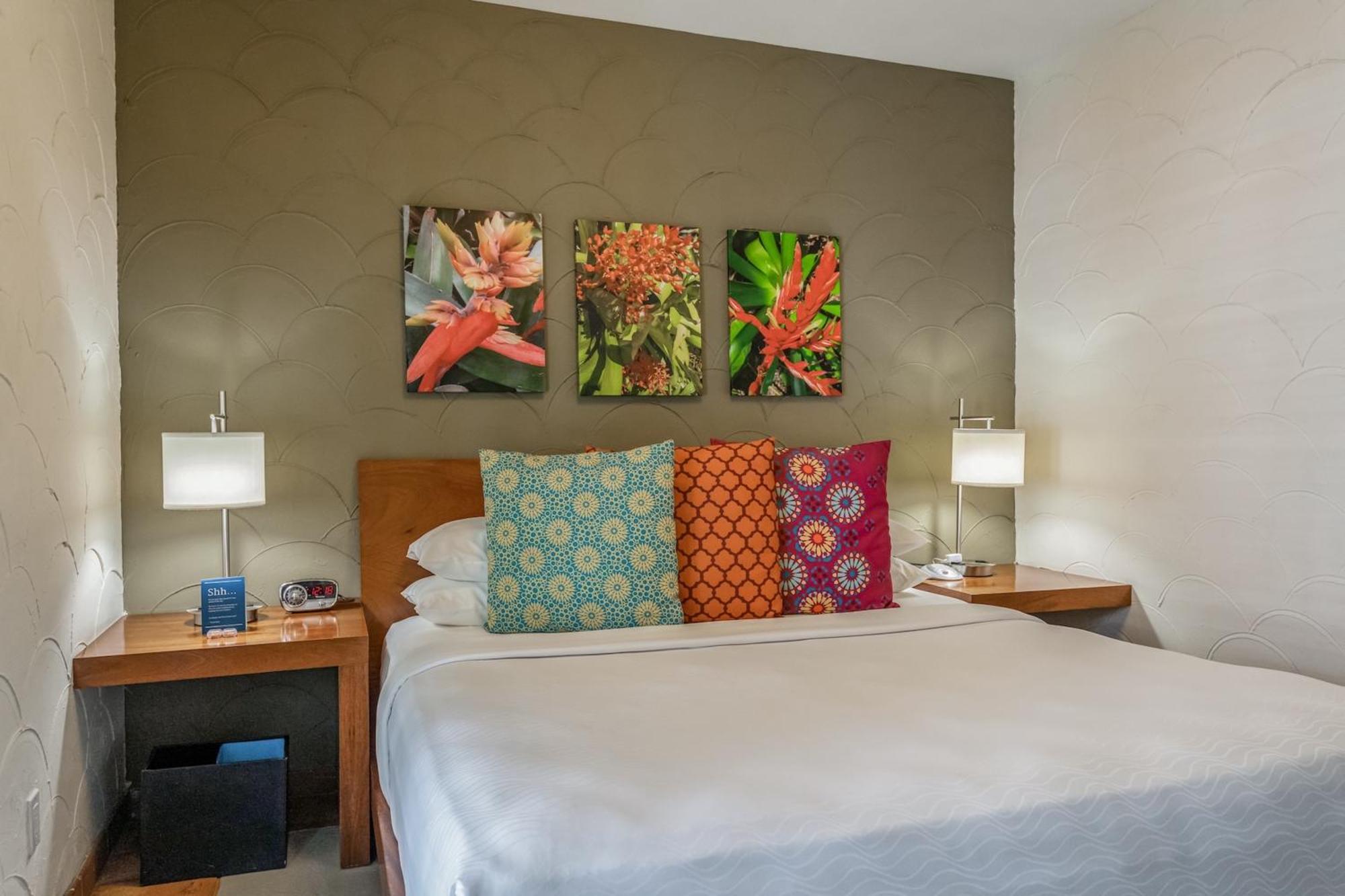 El Paseo 4* Miami Beach