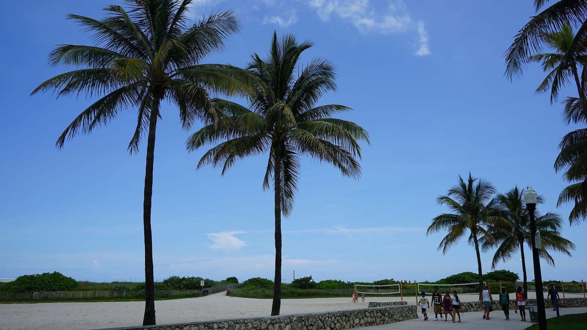 The Netherland Miami Beach