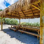 Apartment On The Beach For 6 Peoples With Balcony
