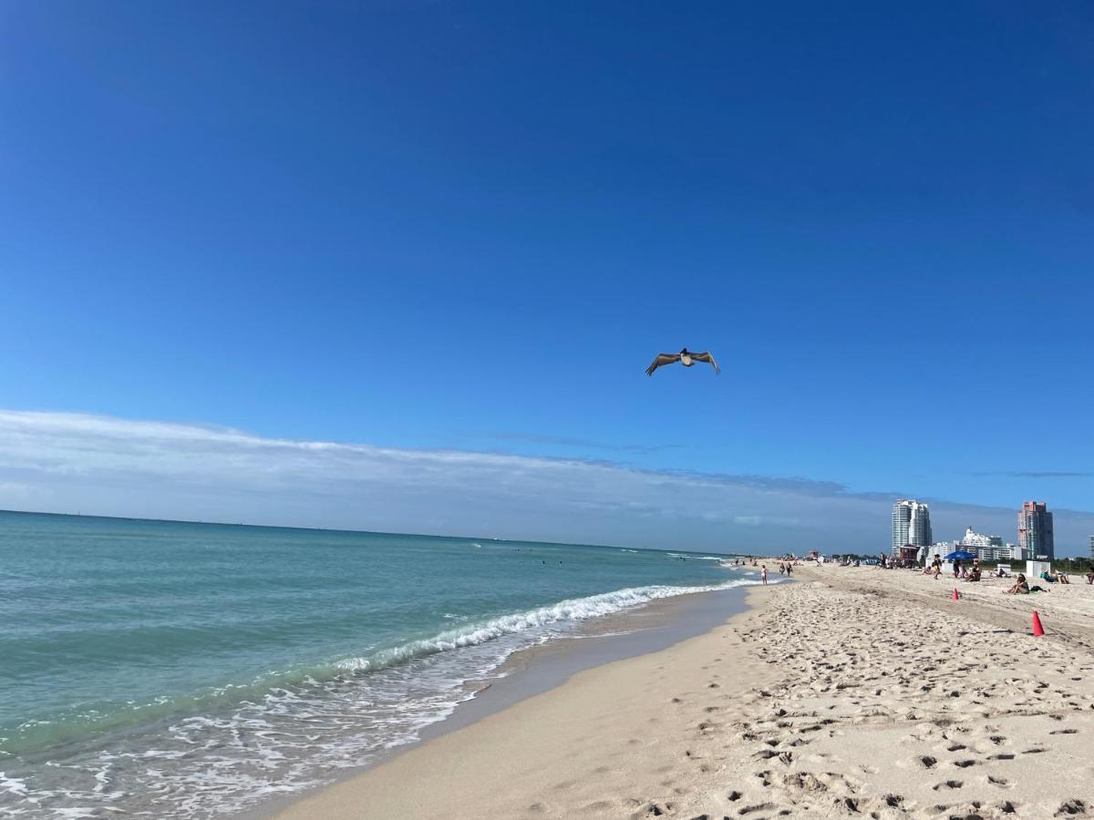 Beachfront In Carlyle On Ocean Drive * Miami Beach