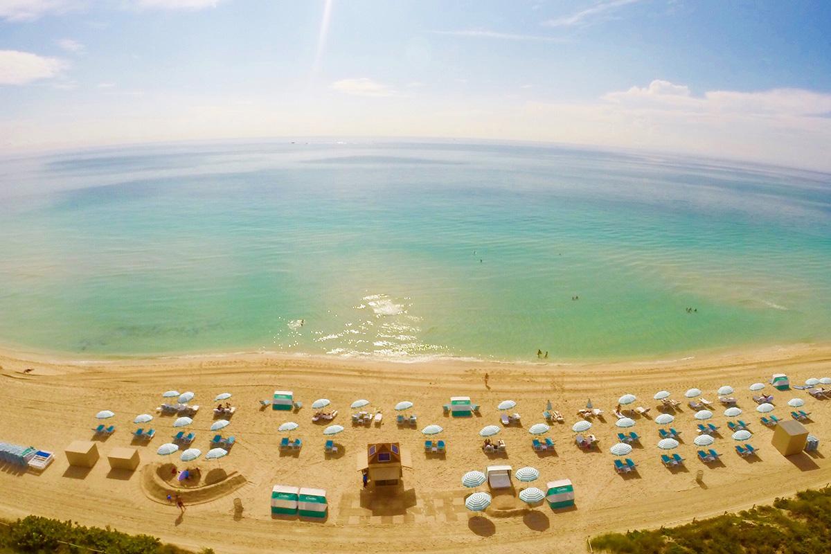 Carillon Miami Wellness