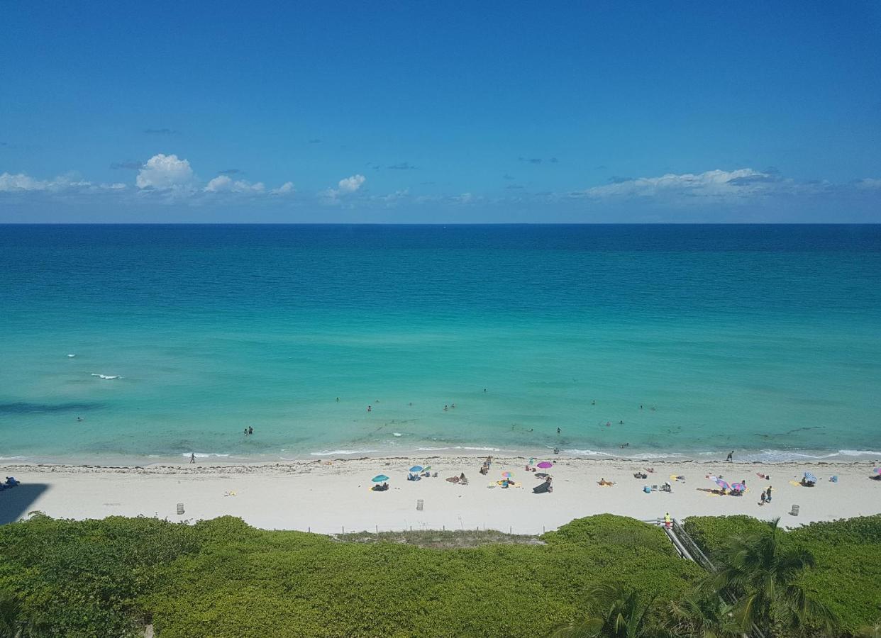 Suncoast Vii *