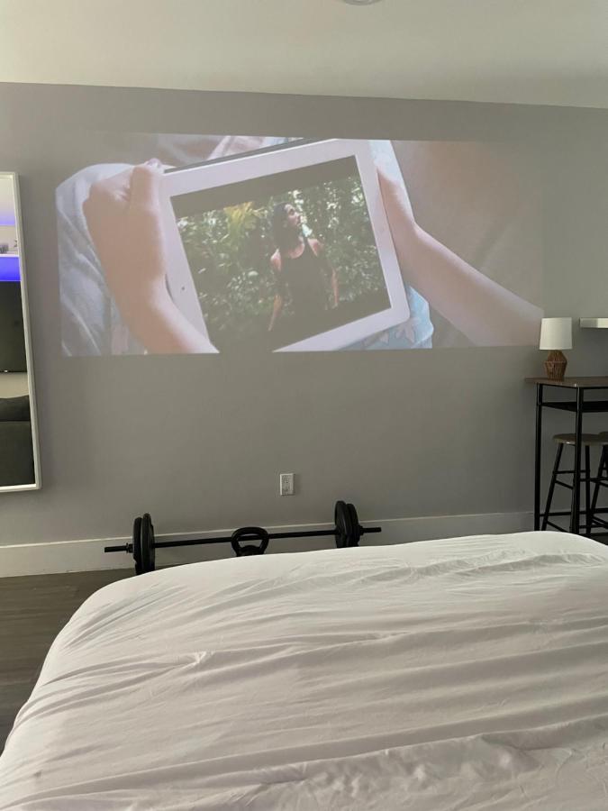 Ontour Rentals Miami