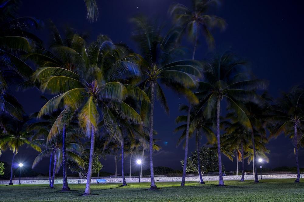 Hilton Vacation Club Crescent On South Beach Miami 3* Miami Beach