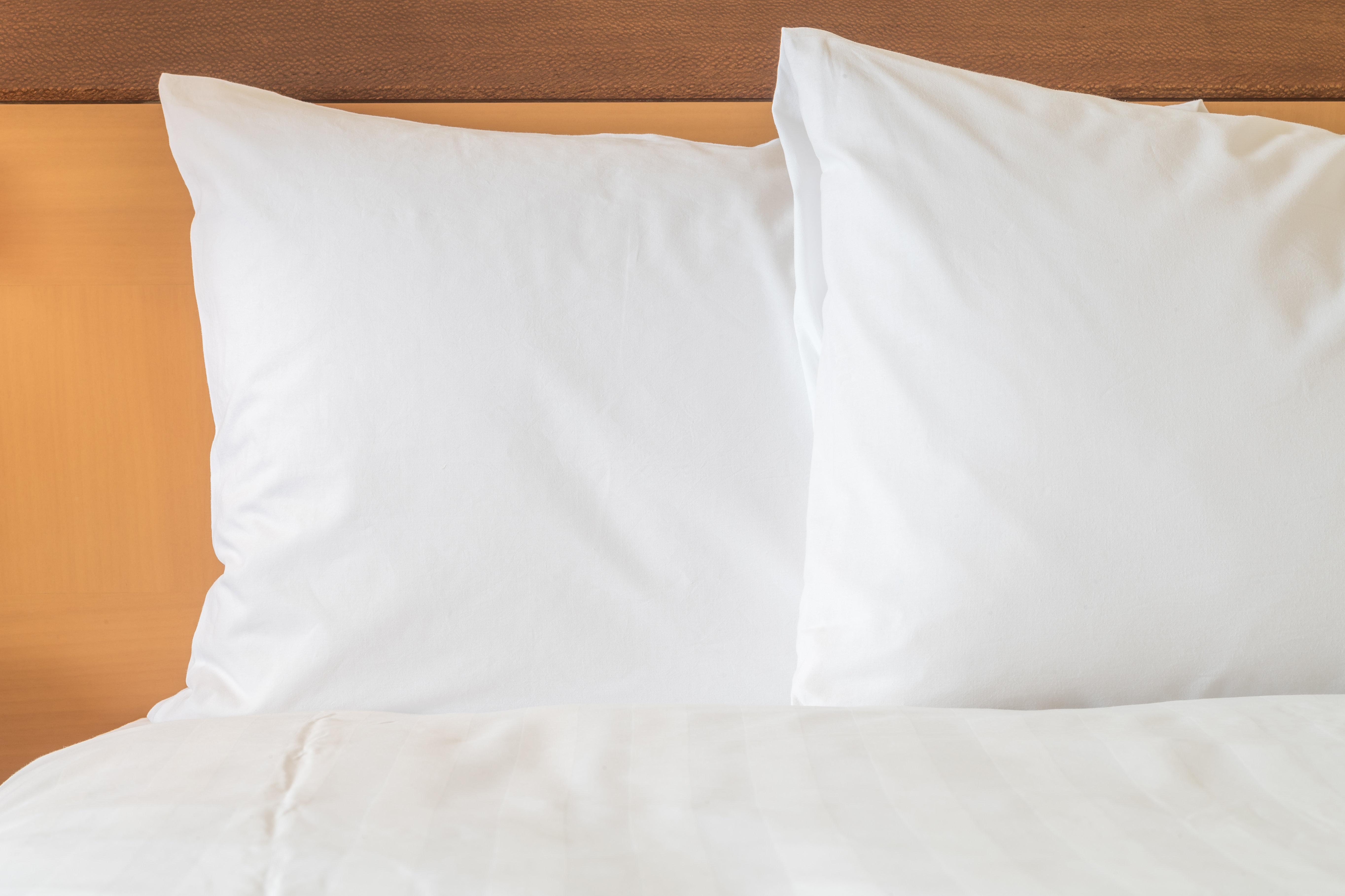 Z Ocean Hotel, Classico A Sonesta Collection (adults Only)