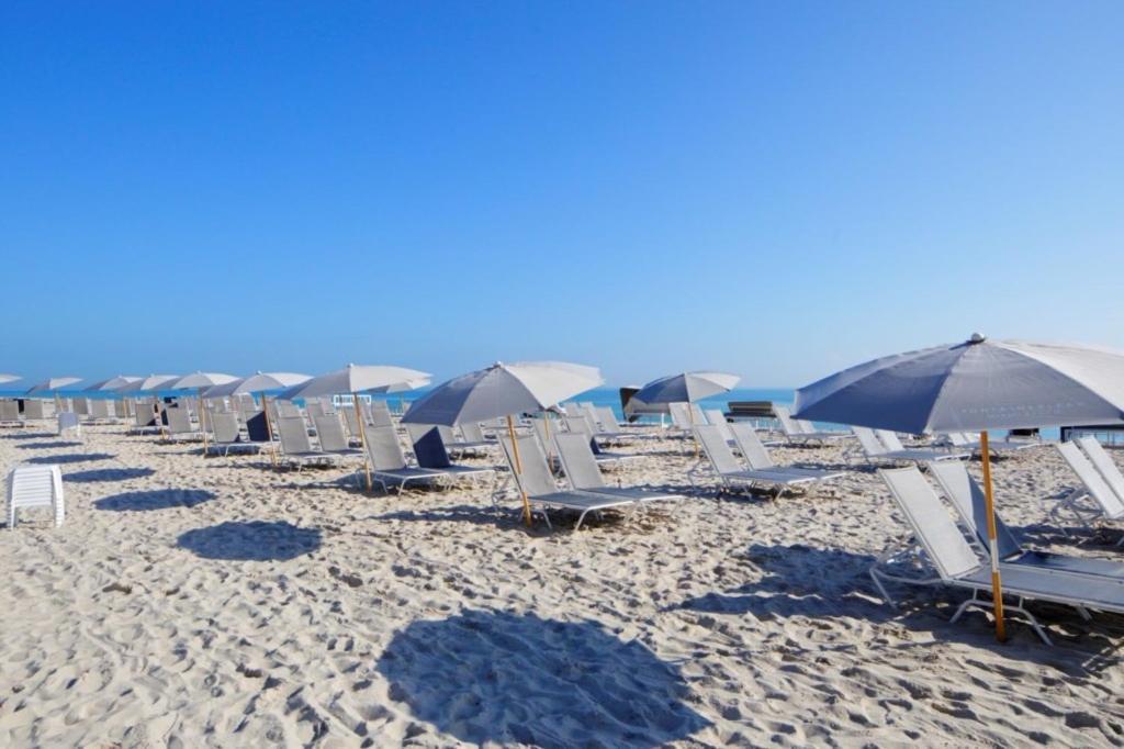 Hotel One-bedroom Miami Beach