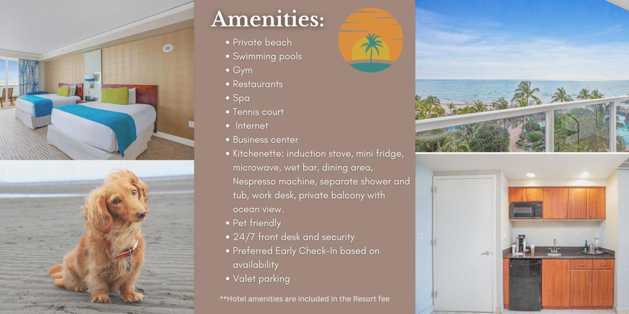 Luxury With Ocean Front View Apartment