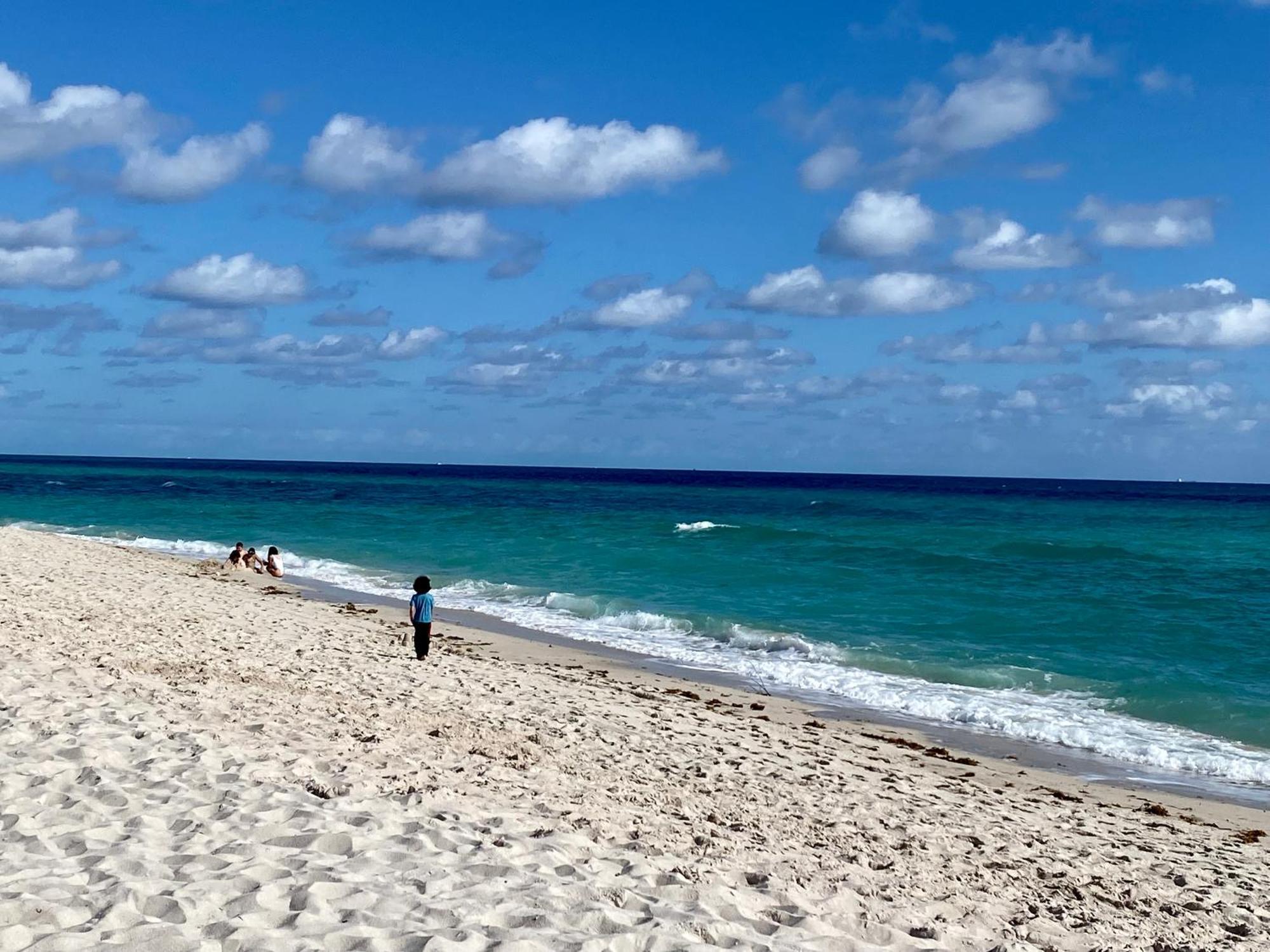 Large Luxurious Direct Ocean Front Penthouse Or Deluxe One Bedroom Ocean Front Condo-free Parking *