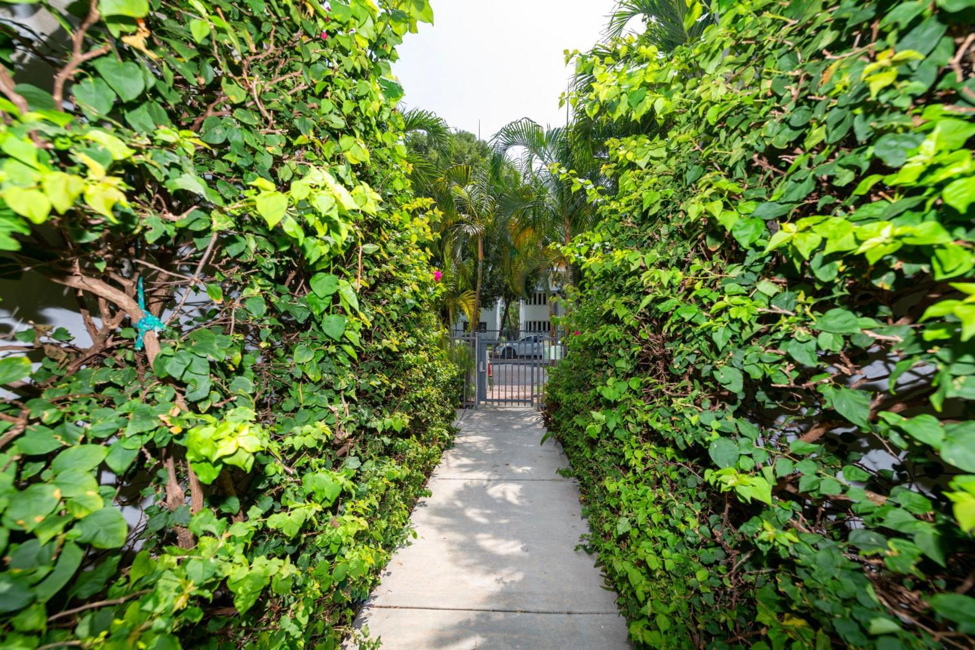 Miami 550 Apartment