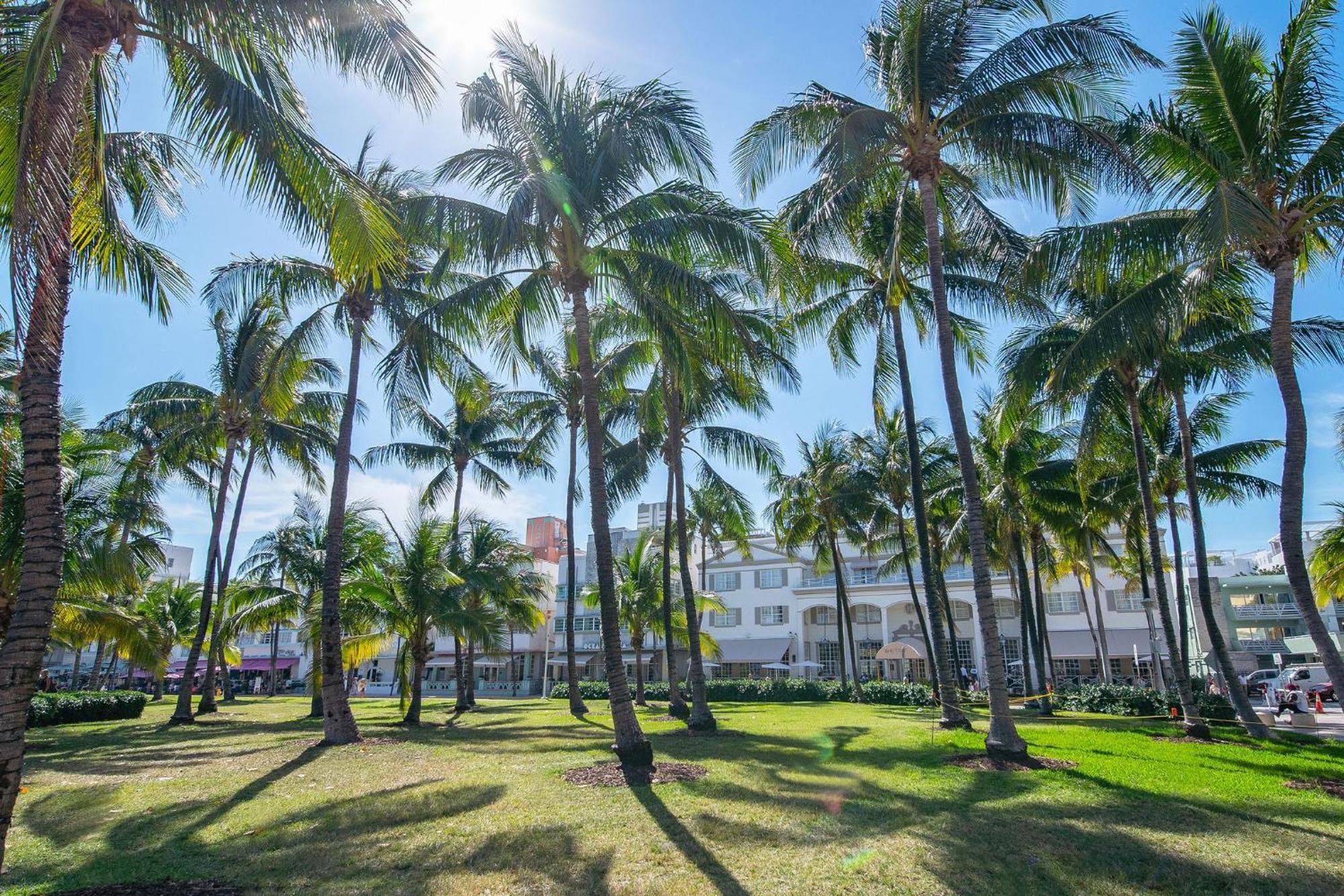 Apartment Comfy 1 B/r, Near Ocean Dr & - South *