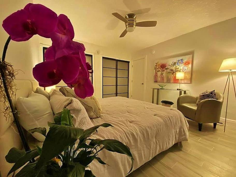 Block From One Bedroom With Parking Apartment Miami Beach