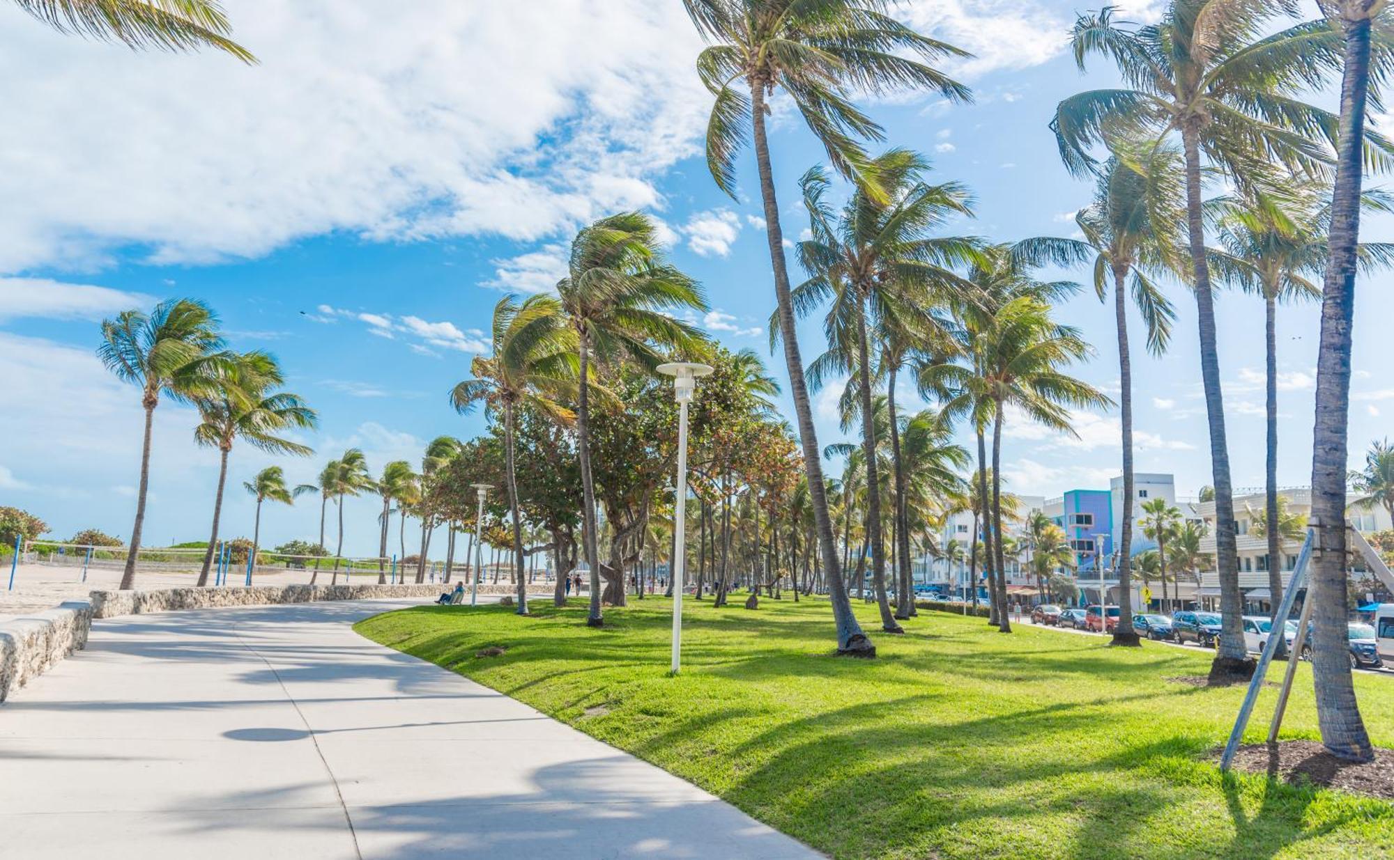 Apartment Rock By Lowkl Miami Beach
