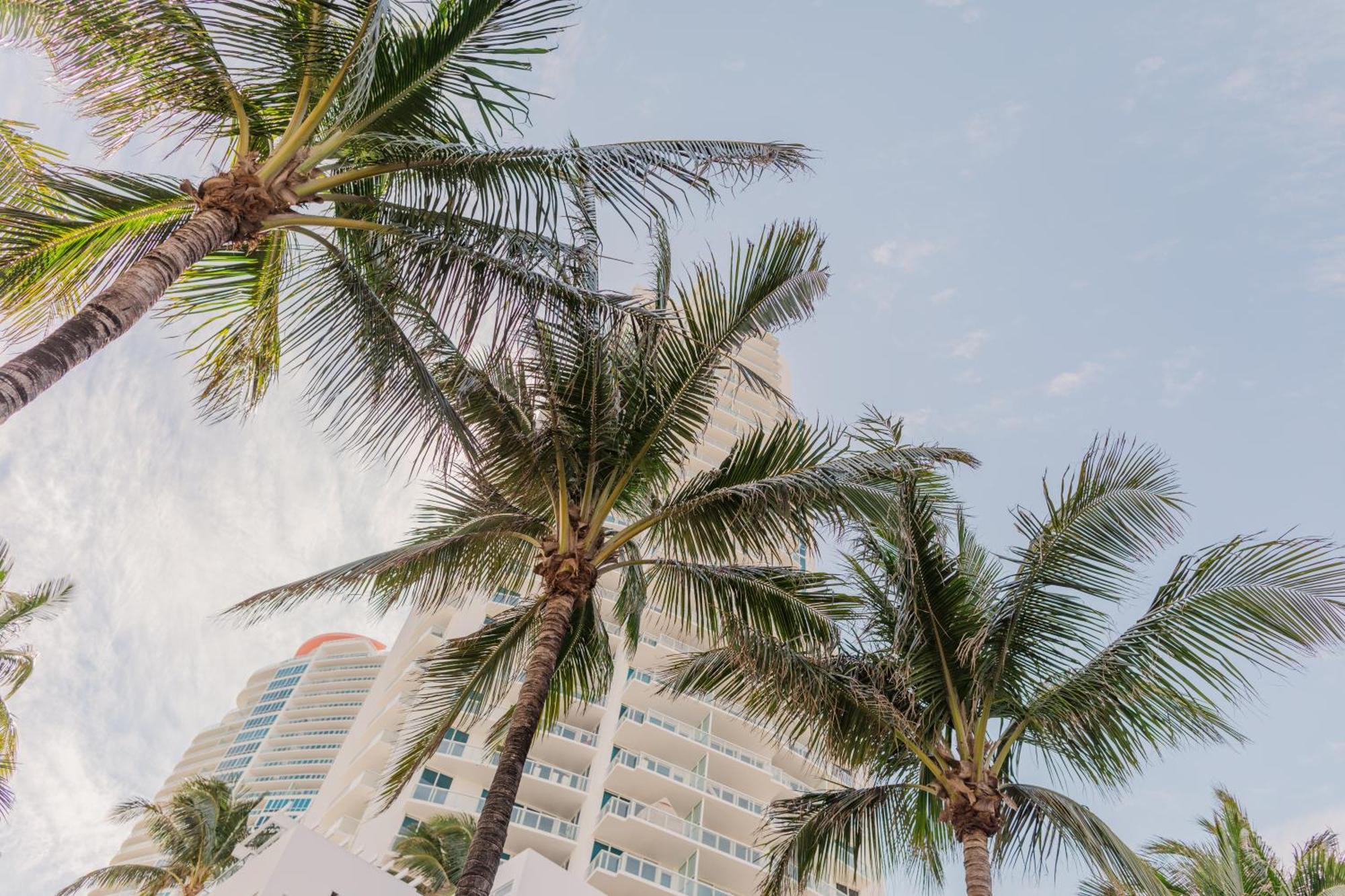 Rock By Lowkl Miami Beach