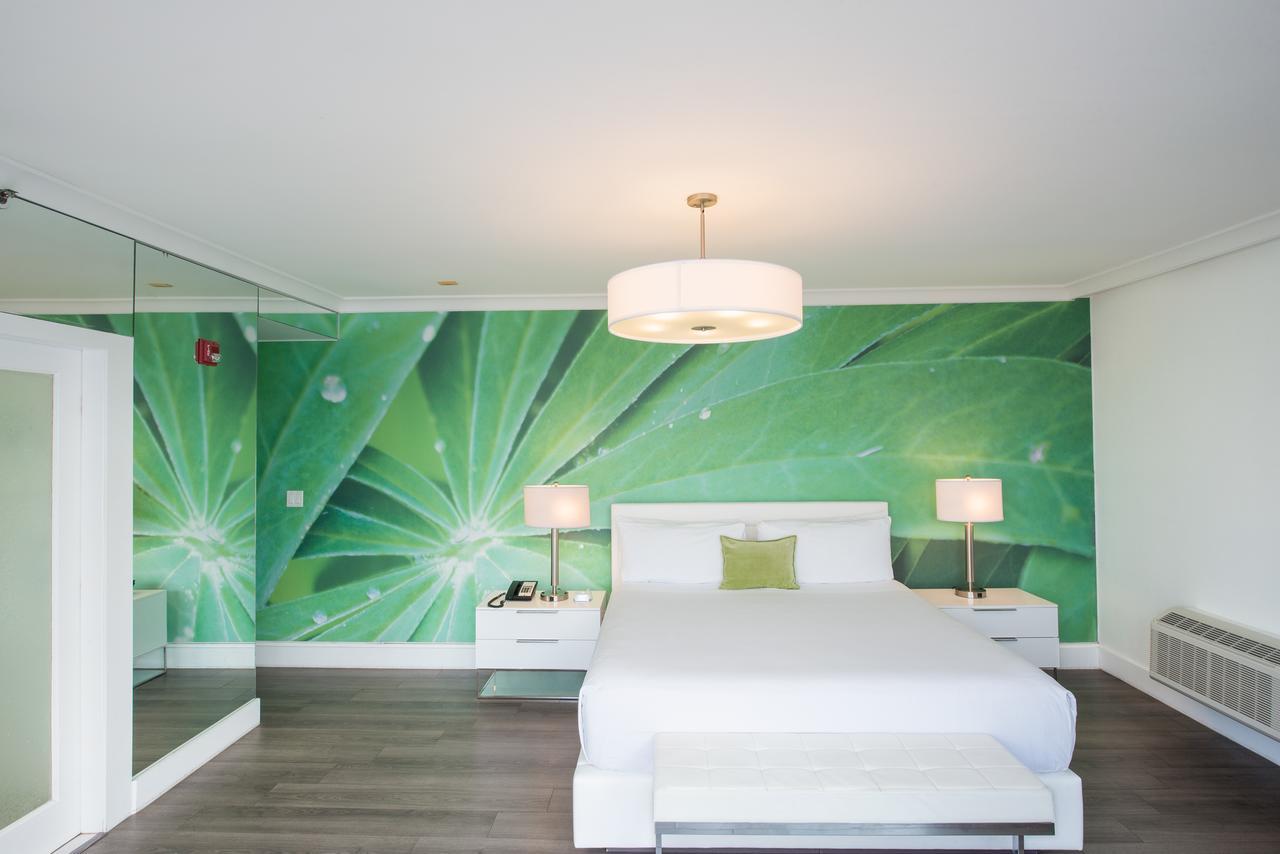 President Hotel 3*