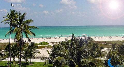 Hilton Vacation Club Crescent On South Beach Miami Hotel