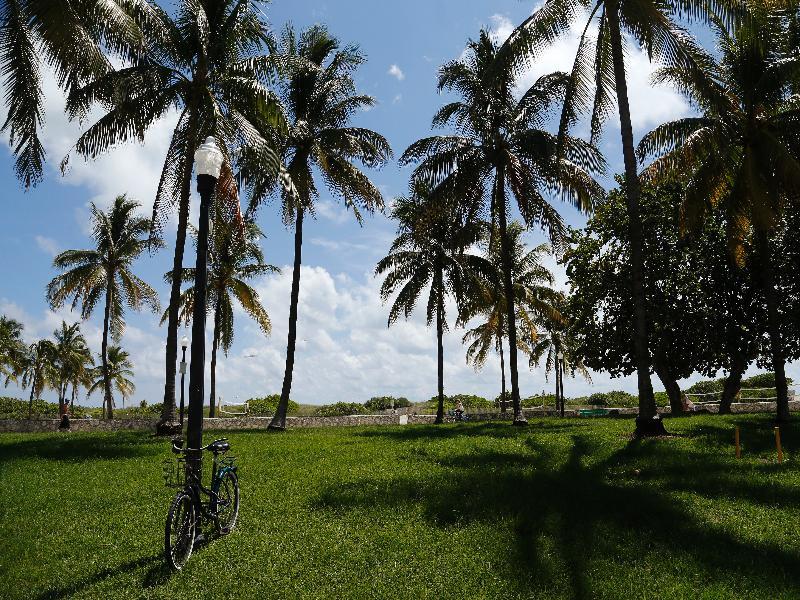 Waldorf Towers South Beach 3*
