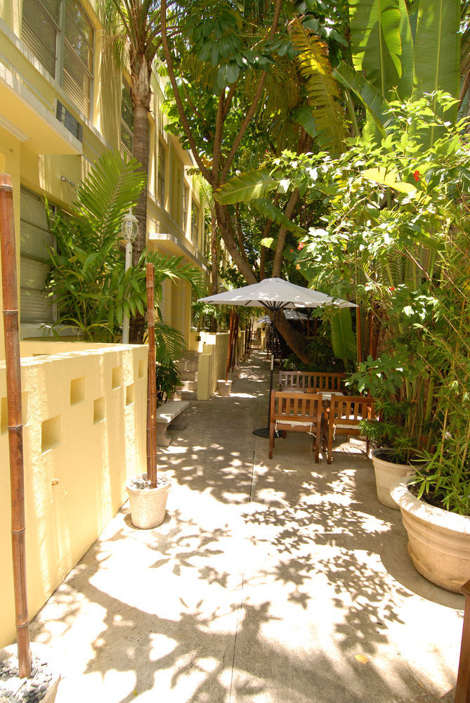 Paradiso * Miami Beach