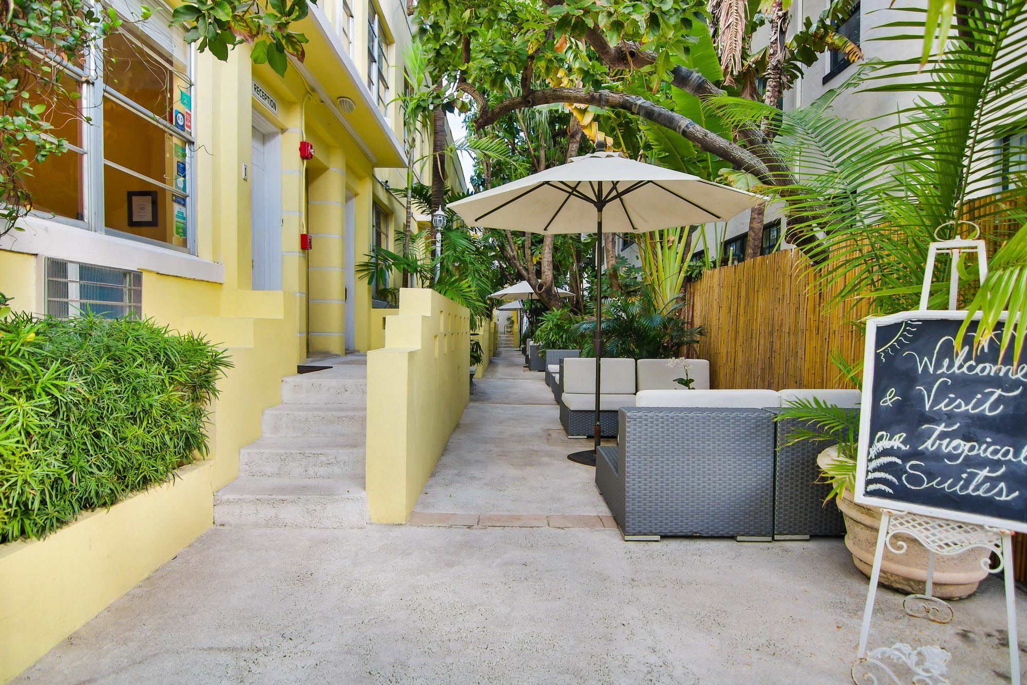 Paradiso * Miami Beach
