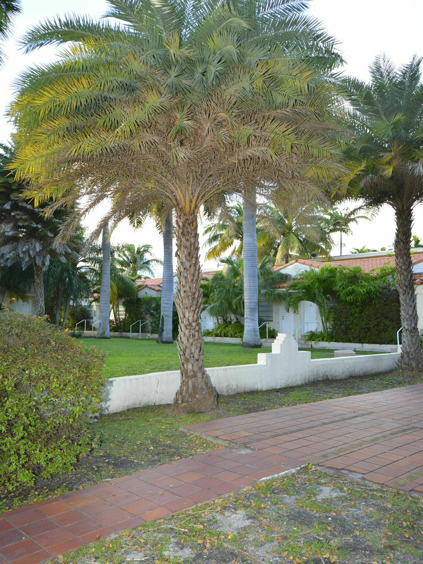 Sunrise Court Apartment