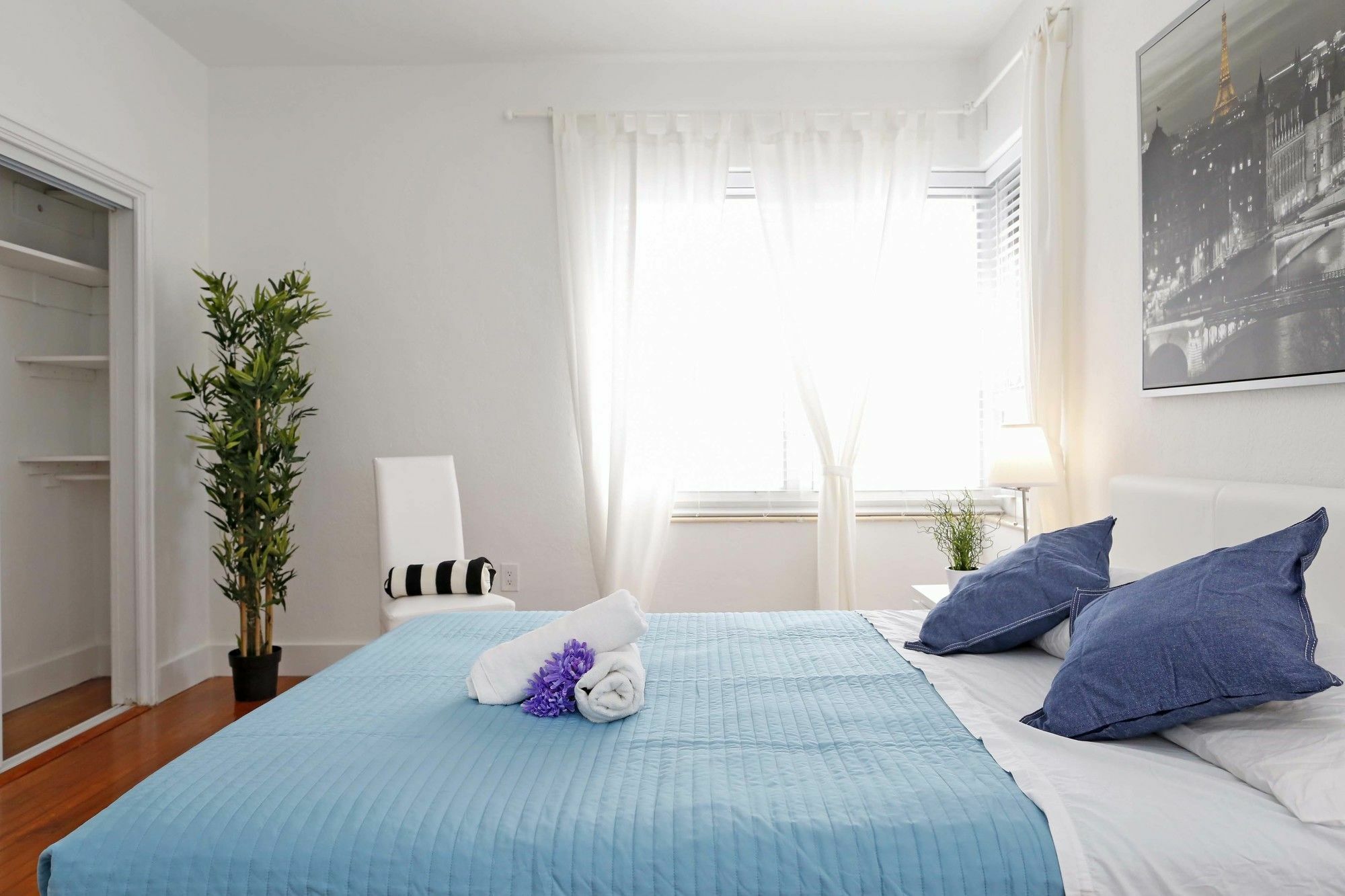 Pellicano Suites Miami Beach *