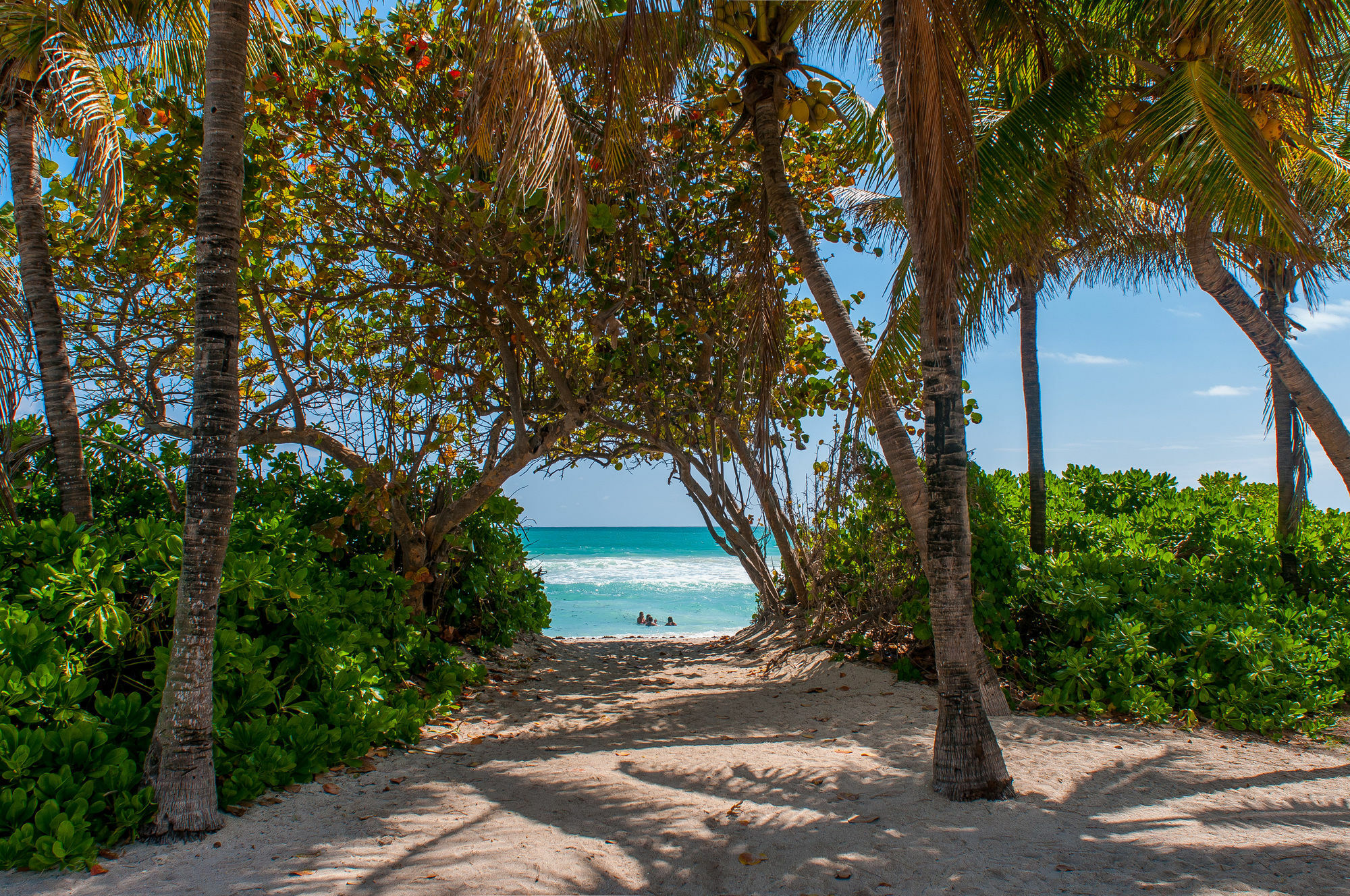 Aparthotel Collins By Design Miami Beach