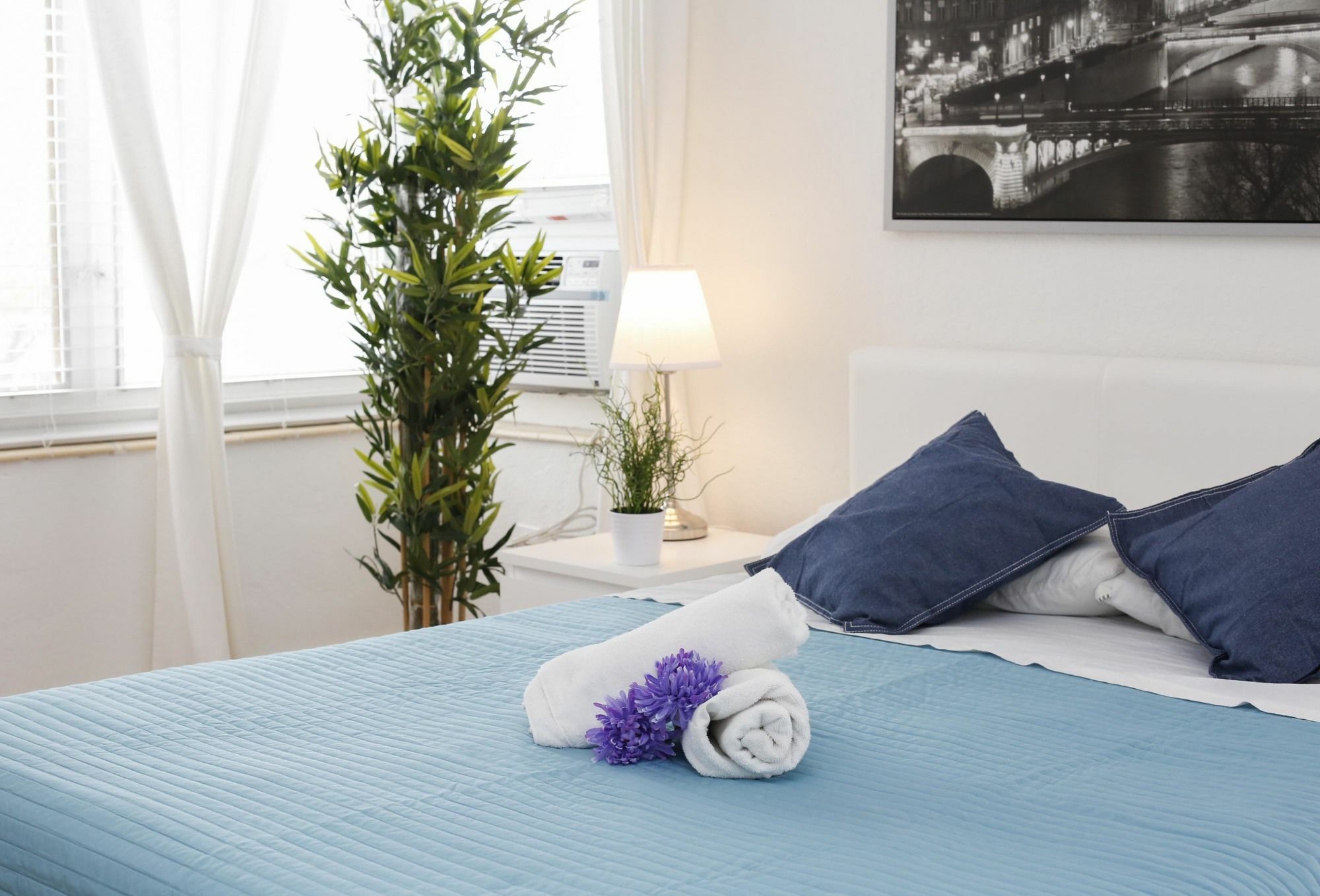 Pellicano Suites Miami Beach * Miami Beach