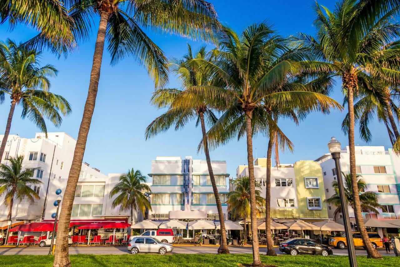 The Jasmine Units On South Beach