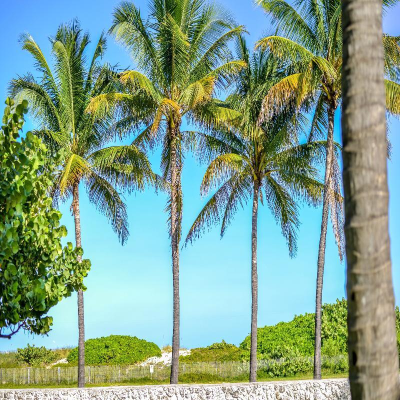 Hilton Vacation Club Crescent On South Beach Miami Hotel 3*