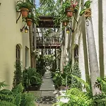 Orchid House