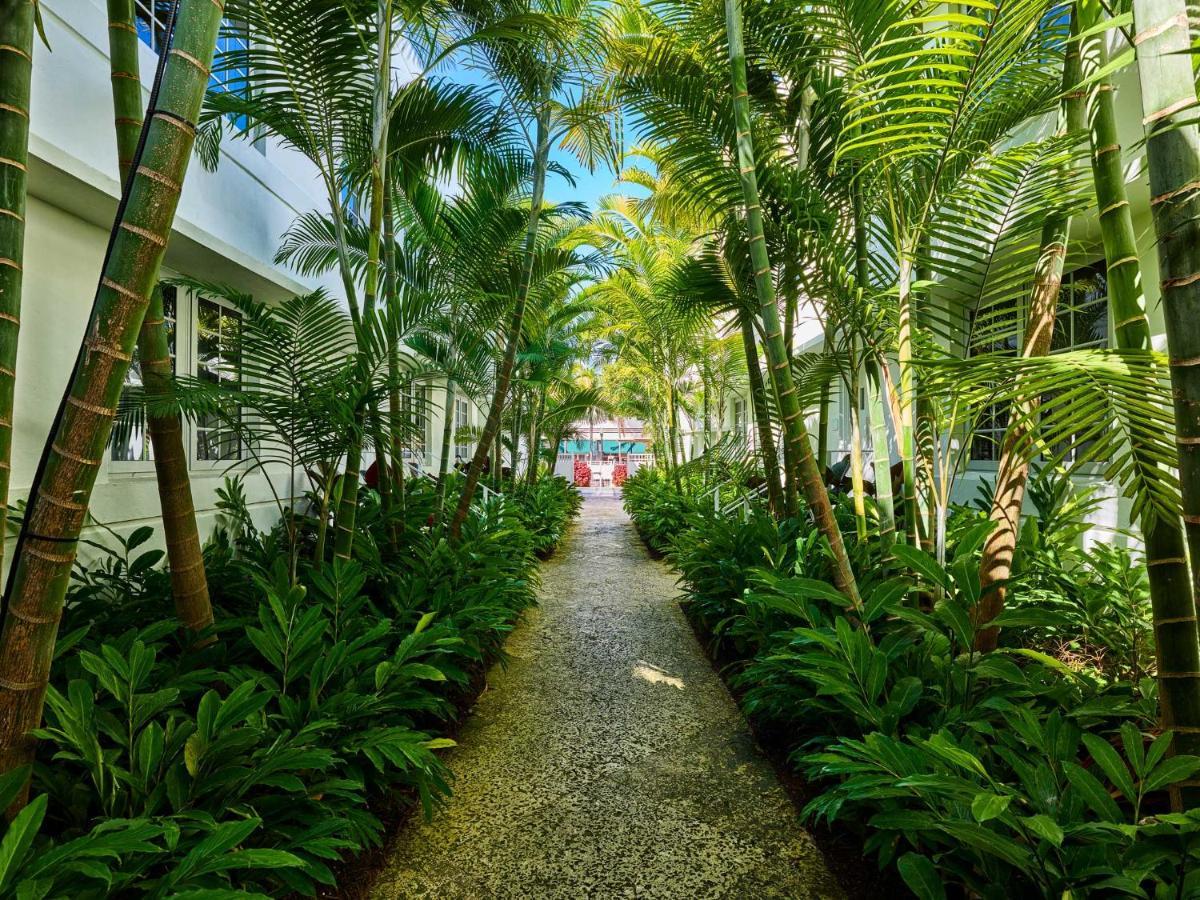 Axel Miami-south - Adults Only Hotel Miami Beach