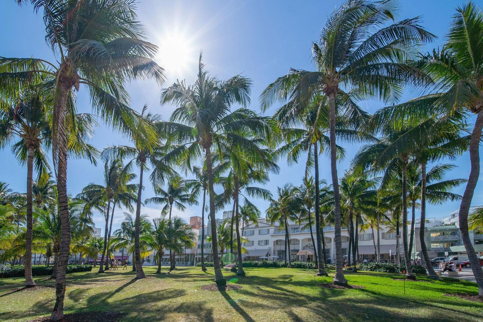 Beachy 1 B/r, W/2 Queen Beds, On Ocean Drive Apartment *