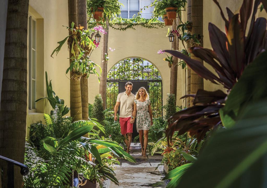 Orchid House Villa *