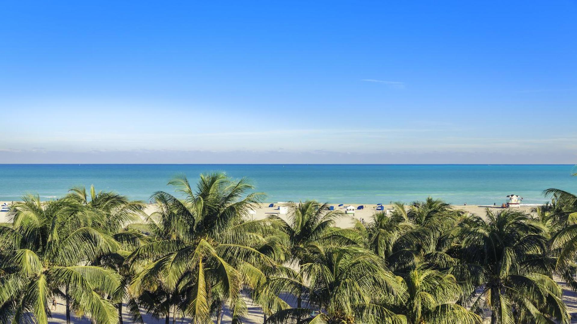 1 Bedroom Private At Carillon Miami -911 Miami Beach