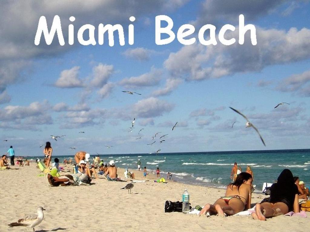 Bikini (adults Only) Hotel Miami Beach