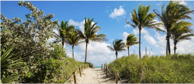 San Juan Miami 4* Miami Beach