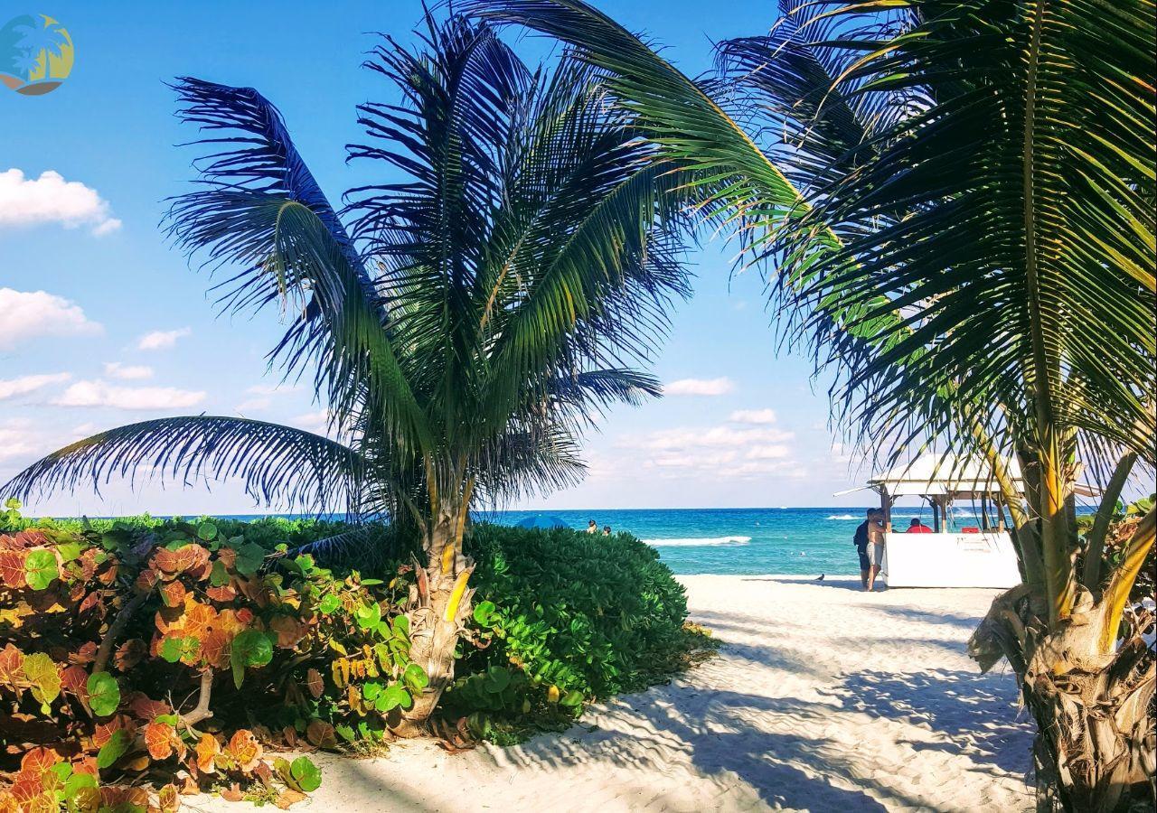 Classic Beach - Hora * Miami Beach