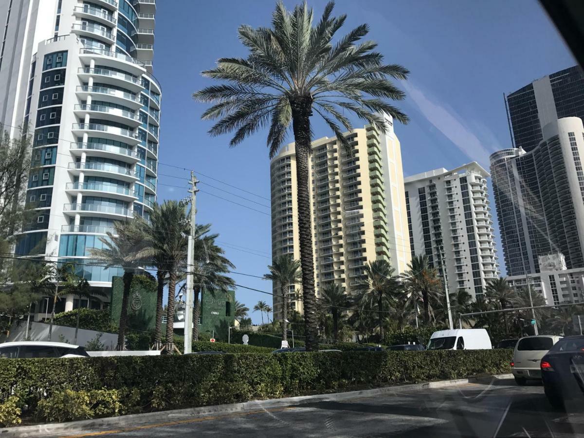 The King David Miami Beach