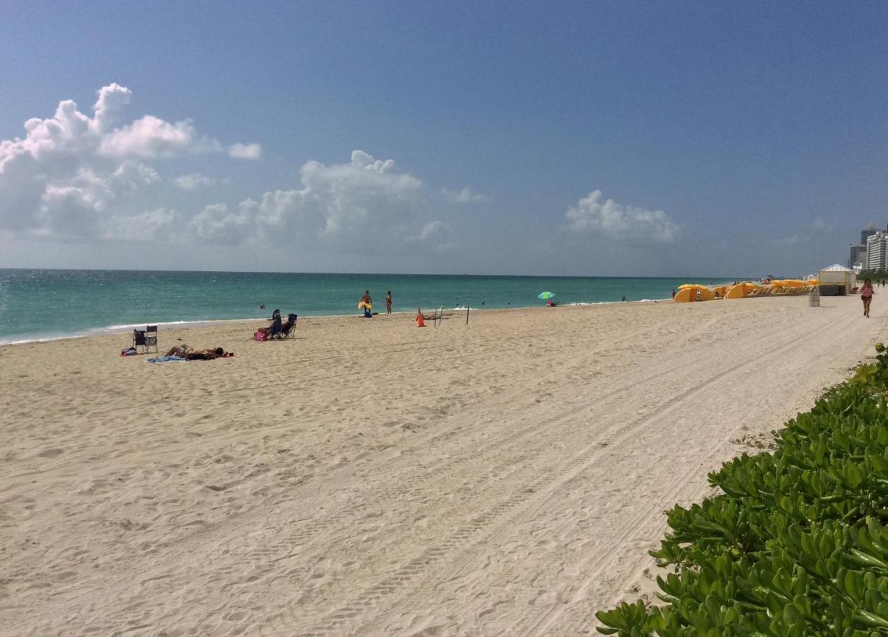 Suncoast Iv